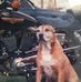 Joel Whitcomb - Facebook