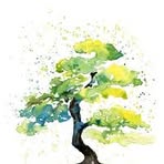 Joel Wickham - Facebook