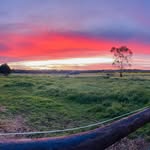 Joel Wiese - @joel_b_wiese - Instagram