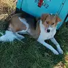 Joel Yoder - @joel.yoder0 - TikTok