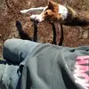 Joel Yoder - @joel.yoder3 - TikTok