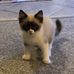 Joelle Allison - Facebook
