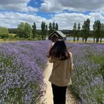 Joelle Lim - @imjoelleelle - Instagram