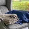 joellenmccartney - @joellenmccartney - TikTok