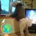 Julie McCartney - Facebook