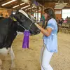 Elle Stangler - @estangler - TikTok