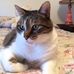 Jo Ellen Reed - Facebook