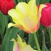 JoEllen Todd - Facebook