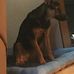 Judy Wheeler - Facebook