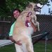 Joey Abbott - Facebook