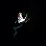 Joe Akers - @joeakers10 - Instagram