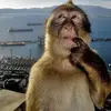 joey aspa - @joey.aspa21 - TikTok