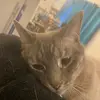Joey - @joeybean - TikTok