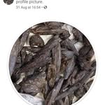 Joey Benjamin - @joey.benjamin.560272 - Instagram
