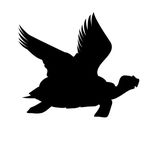 Joey Benjamin - @flying_tortoise_kungfu - Instagram