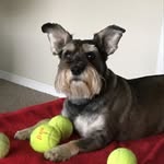 Joey Biggs - @joey.biggs.64 - Instagram