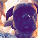Joey Brewer - @joeybrewer123 - Instagram