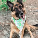 Joey Buckner - @buckner.joey - Instagram