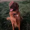 bybeejoey - @bybeejoey - TikTok