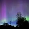 Joey Bybee - @joey.bybee4 - TikTok