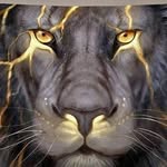 Joey Cabrera - @joeycabrera7 - Instagram