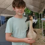 Joey - @joeycabrera2020 - Instagram