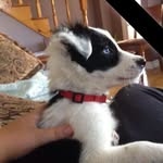 Joey Clements - @joey_clements_ - Instagram