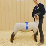 Joey Clements - @clements_show_lambs - Instagram