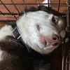 joey_cobb_lol - @joey_cobb_lol - TikTok