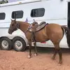 joeycorder0 - @joey.corder - TikTok