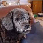 Joe Covington - @covington3554 - Instagram