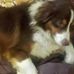 Joe Crow - Facebook