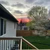 joeycrowley - @.joeycrowley - TikTok