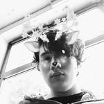 Boyofanime Daigle - @joeydaigle4 - Instagram