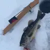 joeydaly39 - @joeydaly39 - TikTok