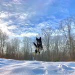 Joe Decarlo - @lostmile - Instagram