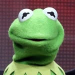 kermit’s gay - @joey_decarlo8 - Instagram