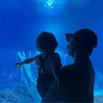 Joey Dodd - @dodd.1 - Instagram
