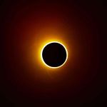 Joe Ebert - @joe.ebert - Instagram