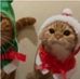 Joy Ebert - Facebook