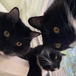 Amalia & Joey Epperson - @thefitsideofus - Instagram