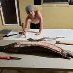 Joey Guidry - Facebook