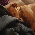 joey the hacker - @joey_the_hacker - Instagram