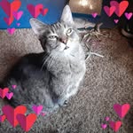 Joey Haley - @spartynation74 - Instagram
