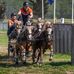 Joey van der Ham - Facebook