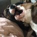 Joey Hansen - Facebook