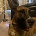 Joey Hanson - Facebook