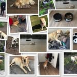 Joey - @joey_haren86 - Instagram