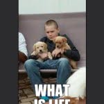 Joey Harmon - @dank630 - Instagram