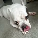 Joey Hemphill - @hearts.4joey - Instagram